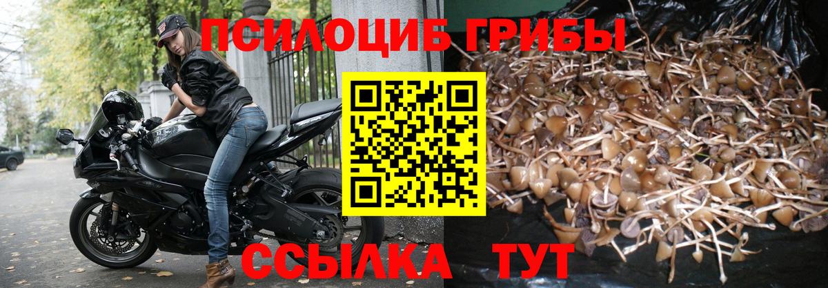 Псилоцибиновые грибы Magic Shrooms Сибай