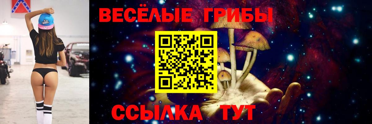 продажа наркотиков  Вход с VPN  Сибай  Галлюциногенные грибы Magic Shrooms 